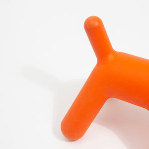 Orange Magis Puppy