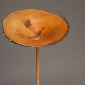 Maple Sculpture